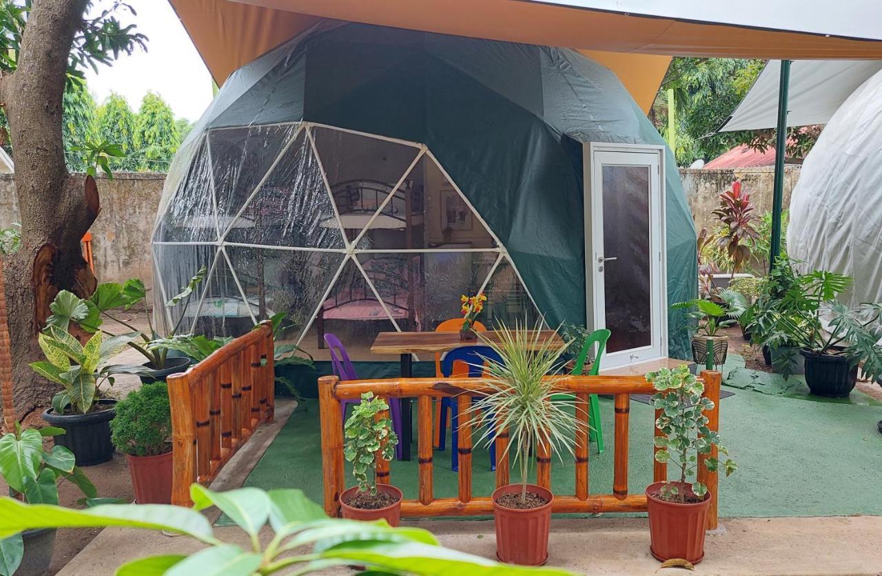 Shenanigans Glamping Resort Zamboanguita  Dış mekan fotoğraf